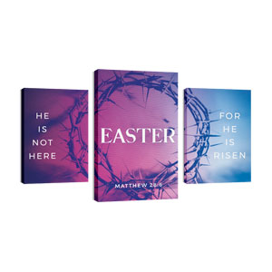 Gradient Crown of Thorns Triptych 30in x 50in Canvas Prints