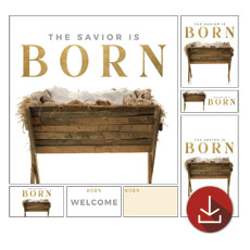 Born Manger 