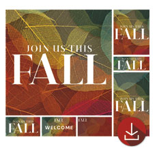 Fall Colorful Leaves 