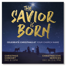 Savior is Born Star 