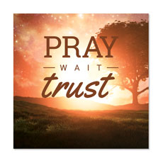 Pray Wait Trust 