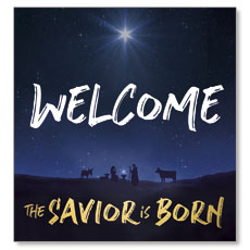 Savior is Born Star 