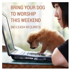 Bring Your Dog To Worship 